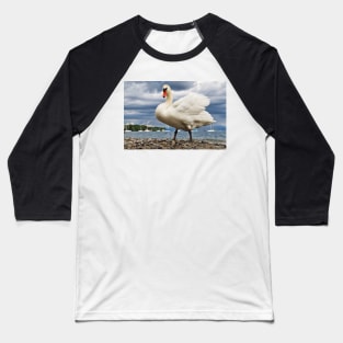 Swan in Hagnau - Lake Constance, Germany Baseball T-Shirt